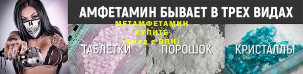 прущие грибы Богородск