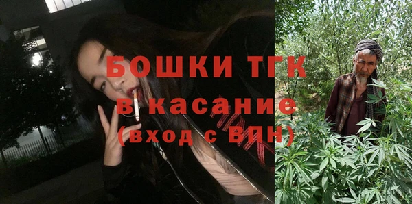 прущие грибы Богородск