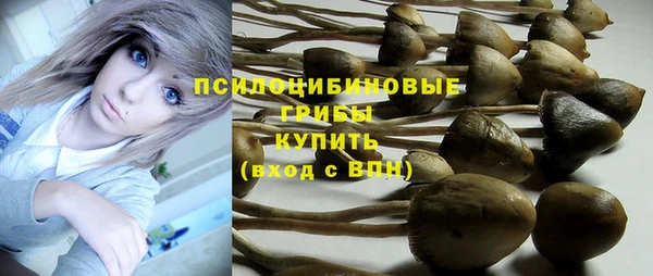 герыч Богородицк