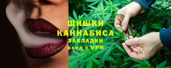 прущие грибы Богородск